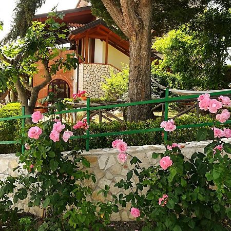 La Dimora Di Radha B&B Centro Olistico Rende Eksteriør billede