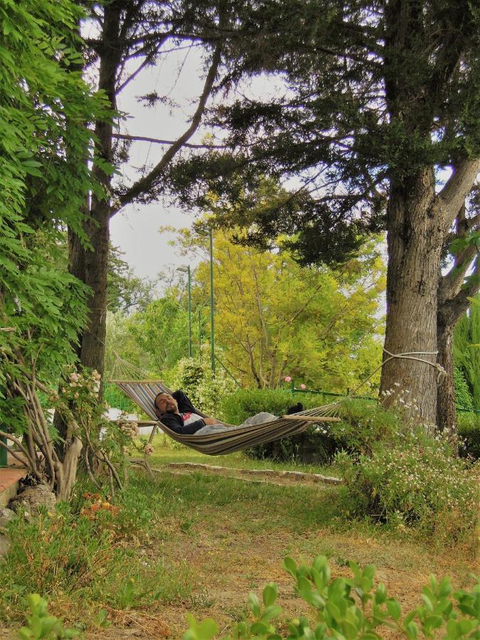 La Dimora Di Radha B&B Centro Olistico Rende Eksteriør billede